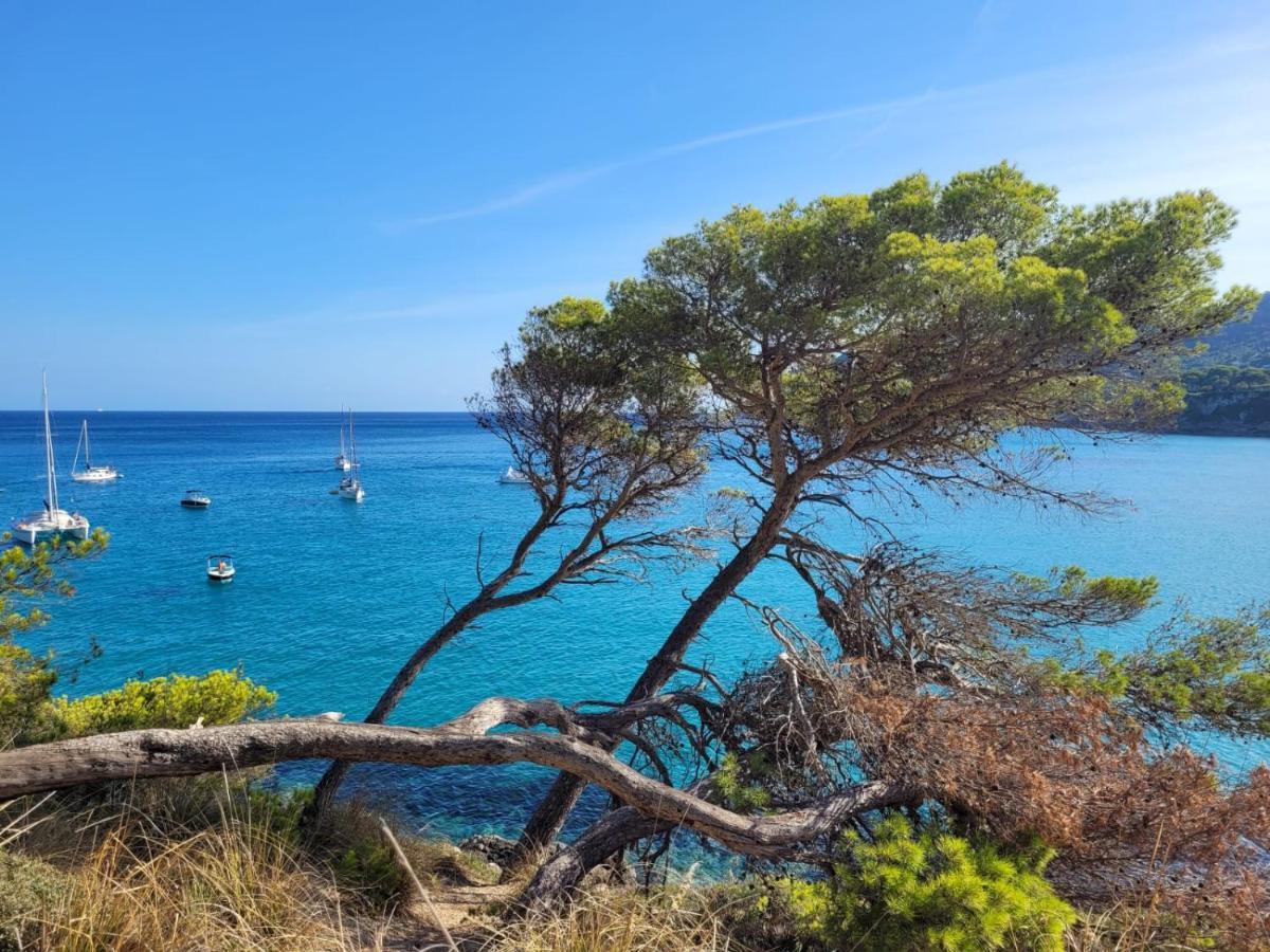 Apartment 4B Formentor Sea View & Pool In Canamel Canyamel  Εξωτερικό φωτογραφία
